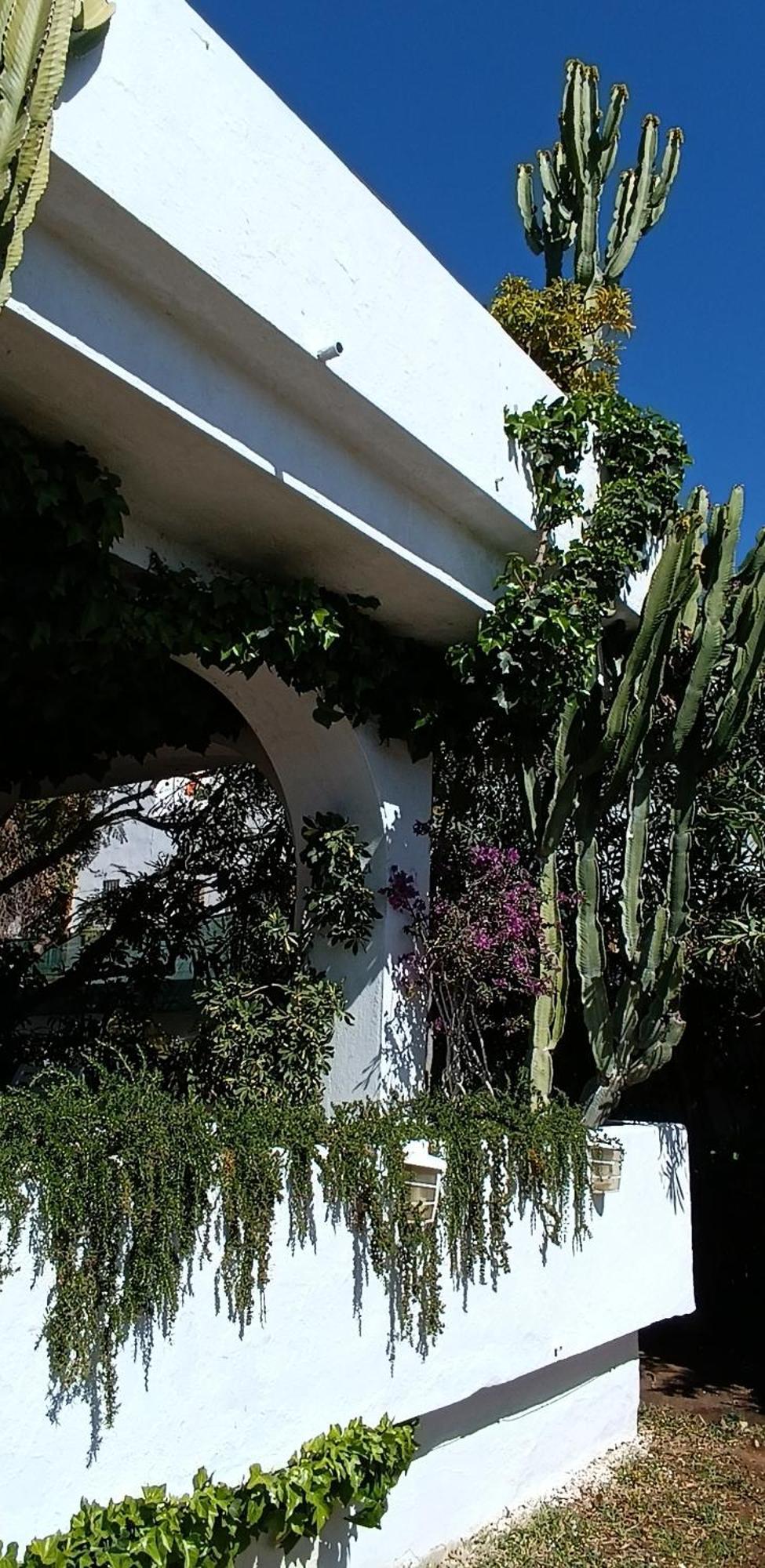 Villa Tortuga Marbella Exterior foto